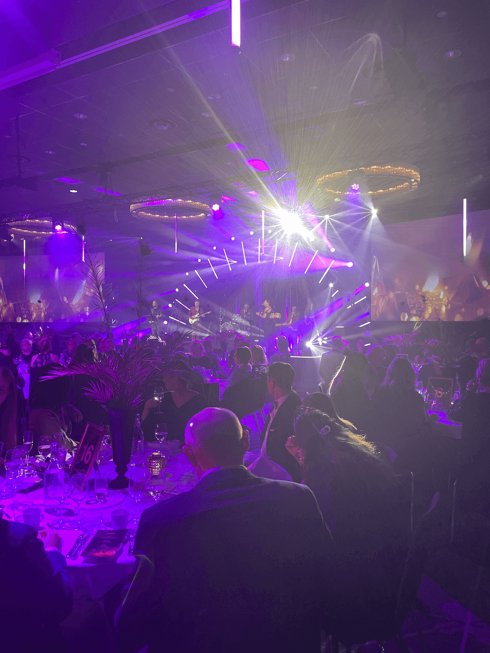 Proffsigt liveband och underhållning till företagsevent